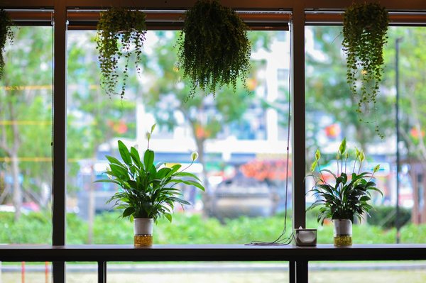 Portail rh : réinventer la gestion des ressources humaines à l'ère digitale